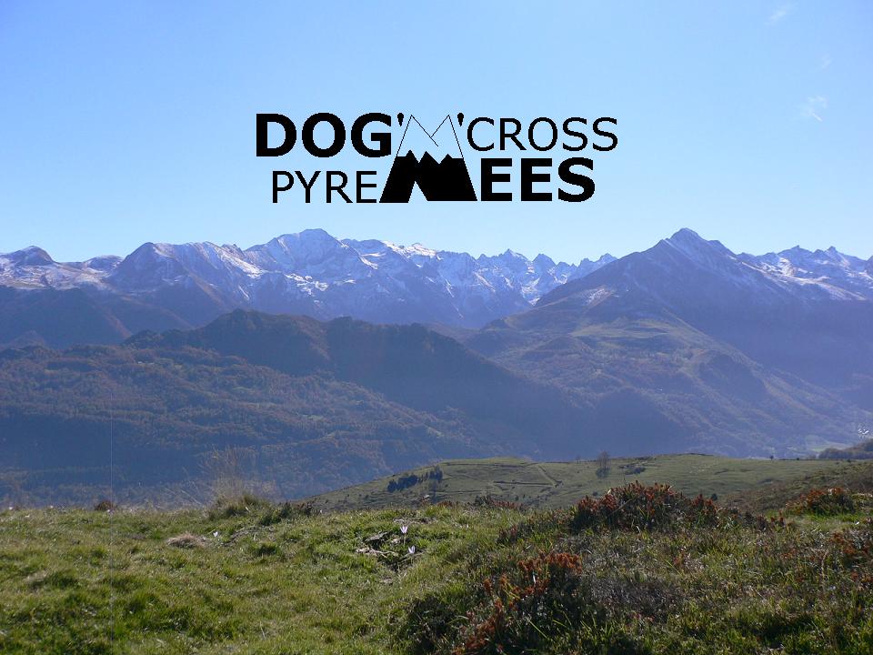 paysage_logo